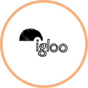 Igloo Regeneration website (opens in a new tab)